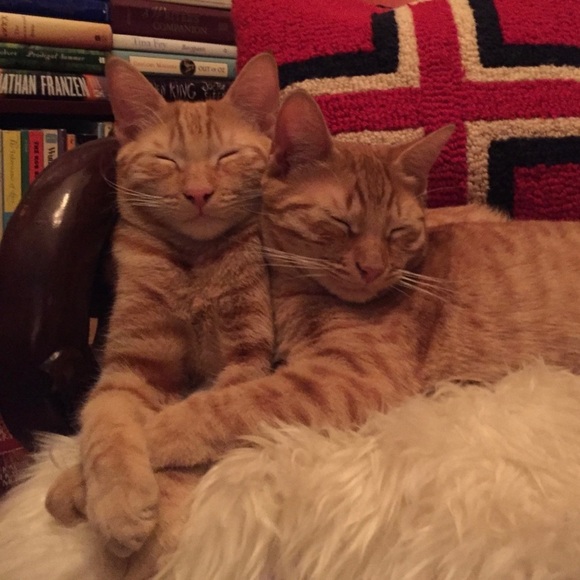 Gamine: noun; girl with mischievous or boyish charm. - Picture 7 of 16